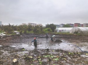 抚州河道鱼塘清淤